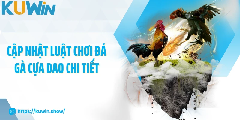 Cập nhật luật chơi đá gà cựa dao tại KUWIN chi tiết