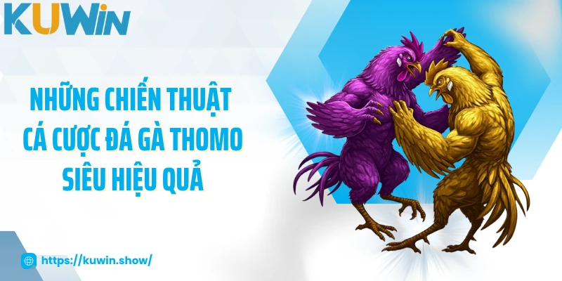 Những chiến thuật cá cược đá gà Thomo siêu hiệu quả